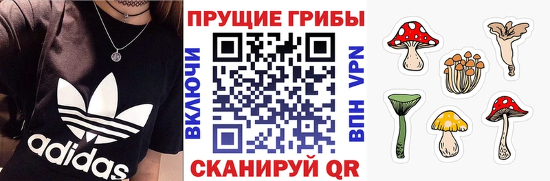 MEGA ССЫЛКА  Кинешма  Галлюциногенные грибы Cubensis 